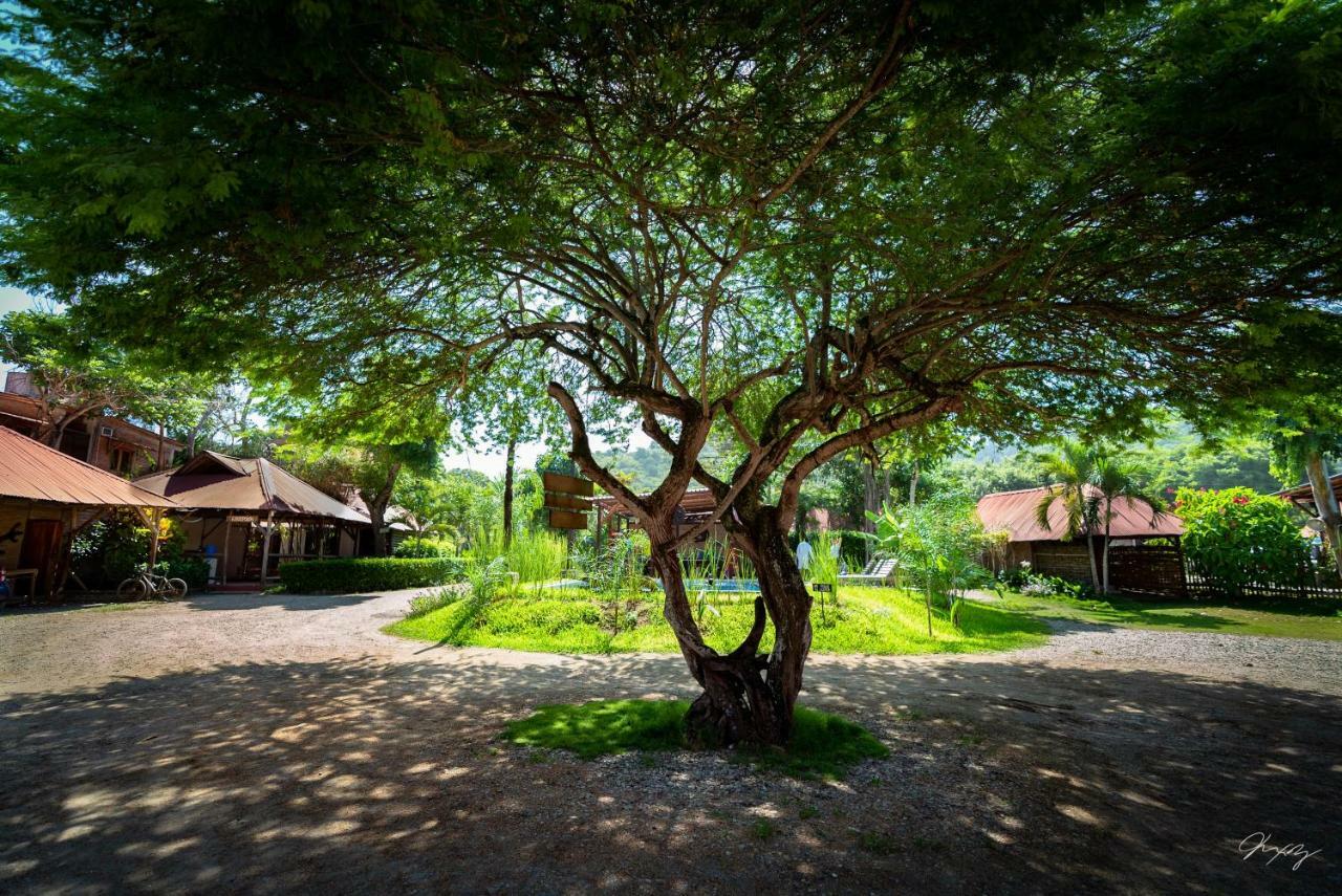 Cabañas La Tortuga Ayampe Exterior foto